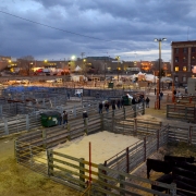 National Western Stock Show 2015