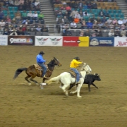 MLK Jr. African American Heritage Rodeo