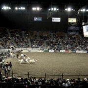 MLK Jr. African American Heritage Rodeo