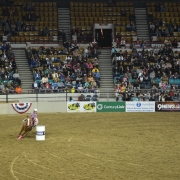 MLK Jr. African American Heritage Rodeo