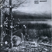 The Beaver, Model of Industry