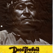 American Navajo Indian