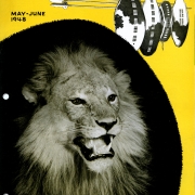 Lion, King of the Beasts, with an article about the Lowveld, and African animal reserve