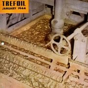 Copper froth in a Sub-A Flotation Cell st Sherritt Gordon Mines in Canada