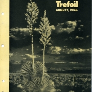 Lily of the Desert ~ State flower of New Mexico