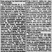 Solid Muldoon, or the Cardiff Giant Heads West | Denver Public Library ...