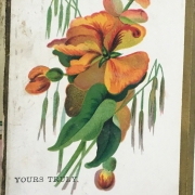 Denver Advertising Card Scrapbook (WH47)