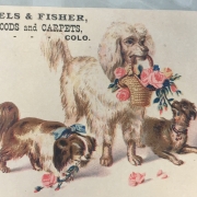 Denver Advertising Card Scrapbook (WH47)