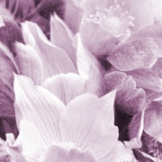 Bowl of Anemones - Detail of 