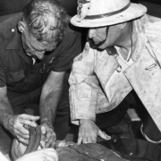 Fire Captain Jack Lynch collapsed during fire