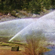 Placer mining, Umcompahgre [sic] Creek, Colorado