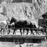 Highgrade ore from Camp Bird mine, Ouray Colorado