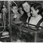 A photograph of students performing a scientific experiment.  The teacher is pointing at a test tube. Lake Junior High is located at 1820 Lowell Blvd, Denver, CO 80204.