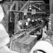 Workers sort rocks on a conveyor belt at a mill building for a London Mine near Alma (Parker County), Colorado. The workers wear heavy gloves and work clothes. One woman wears a scarf decorated with a flag motif. Bare light bulbs hang from the ceilings.
