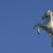 (BG902) The moon peers through the blue sky over Invesco Field at Mile High as the Denver Broncos lose to the Indianapolis Colts 34-31 in the fourth quarter at on Sunday, Oct. 29, 2006. Broncos lose 34-31. (BARRY GUTIERREZ/ROCKY MOUNTAIN NEWS) *** NAME...