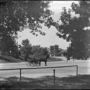 View of a man and horse-drawn carriage at the City Park Pavilion, Denver, Colorado.