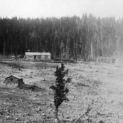 Left side of panorama view of American City (Gilpin County), Colorado. Buildings include: Snug Harbor and Al Platte's cabins, Hotel Sweepstakes, and the American Mining Company office.
