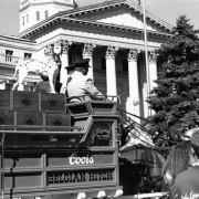 Partial view of horses pulling a Coors beer carriage in the Saint Patrick's Day parade in front of the Denver City and County Building in Civic Center, Denver, Colorado. Signs on the carriage read: "Coors" and "Belgian Hitch."