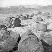 View of large petrified log segments at Petrified Forest National Monument, Arizona. The log-like rocks stand on their sides and ends on a rocky desert landscape. Possibly Blue Mesa stands in the distance.