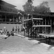 Women dive from boards at Eldorado Springs (Boulder County) Colorado; people in swimming suits sit by the pool, showers, and pavilion.