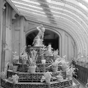 Interior view of Hamill House solarium, in Georgetown (Clear Creek County), Colorado, built by Joseph Watson and acquired by mine owner William A. Hamill 1874; shows a tiered cast iron fernery, or plant stand, with potted plants on shelves. A pewter sculpture of a nude boy blowing a horn tops the planter; the greenhouse ribs have ornate scallops.