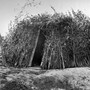 View of a Native American (Navajo) summer hogan. The brush shelter stands near two crossed wooden poles that support a horizontal pole.