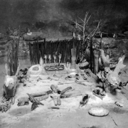 Interior view of a Native American Hopi Pueblo kiva, Third Mesa, Arizona, shows an altar set for a sacred ceremony with fetishes, corn cobs, animal skulls, baskets, bells, feathers and pottery.