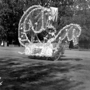 Sunflower Carnival Parade, Colorado Springs, Colorado: a man poses with a bicycle that is covered with a large seahorse-shape frame and decorated in flowers and netting. A flag hangs from the top that reads: "The Sterling Bicycle, Built Lik[e] a Watch."; sign on side of bicycle reads: "Sterling." The man wears a costume with flowers and a large hat.