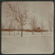 View of snow-covered City Park in Denver, Colorado. The pavilion is in the distance.