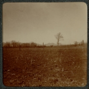 View of a field of harvested corn possibly near Denver, Colorado.