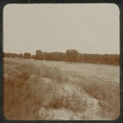 View of flowers and a meadow possibly near Denver, Colorado.