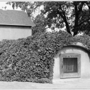 Shows the meat storage unit at the Denver County Farm (Denver Farm) in Henderson, Colorado. The building is semicircular with a small door in the front. Vines cover the roof and sides. The farm served Denver's indigent and elderly from the late 1800's until it was sold in 1960.