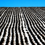 (LINDON Colo., January 13, 2004) VIEWFINDER- While out East in farm country I came across this field that belongs to the Scott family.  The small amount of new snow was enough fill the some of the plowed field but leaving dirt showing also.  The patter...