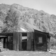View of a dilapidated shack in Eureka, Colorado; features a lean- to and flat roof, sheet metal and horizontal wood siding, and rectangular windows; cottonwood tree behind the shack, with cliff bands and mountains in the far distance.