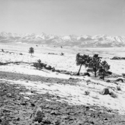 Trees, rocks, and fenced fields with mountains in the background, in (probably) Custer County, Colorado.