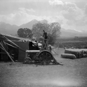 View of a sheep shearing operation in (probably) Colorado or Utah; shows men passing a bundle of wool, a tractor connected to belts and pulleys, sheds, penned sheep, and bags of wool. Mountains are in the background.