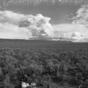 View of wide fields and distant hills in (probably) Colorado or Utah; cholla cactus and scrub cedar are in the foreground. Clouds include thunderheads, cumulus, nimbus, and cirrus formations.