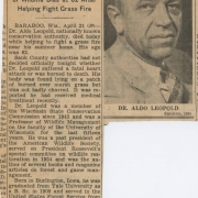 Exhibit held September 3-November 2, 2014