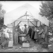 Group of workers packing fruit (peaches) on B.F. West's Ranch, Palisade, Colorado, reached via Colorado Midland Railway; canvas covered shelter for small assembly line of male and female workers; two workers with canvas bags around shoulders for picking fruit; three boys in group; "Mountain Fruit, Palisade, Colorado" label on crates, one box with "National Biscuit Company" label.
