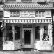 View of a candy store at 7 (Seven) Broadway Street, in Denver, Colorado; shows a storefront with tile, lace curtains, and sign: "Mrs. Stover's Bungalow Candies Fresh Every Day."