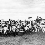 View of the Tivoli Brewery wagon and Clydesdale horses in Denver, Colorado; people ride the conveyance and watch from sidelines by a loudspeaker. Harness includes silver studs.