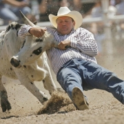 DM3367  Whoa! Kelly Masters of Erie, Colo. puts the brakes on as he takes down a steer during the steer wrestling the steer wrestling event, also known as bulldogging, during the Earl Anderson Memorial Rodeo in Grover,Colo. June 15, 2008. (DARIN MCGREG...
