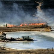 Firefighters in Berthoud battle a grass fire near HWY287 and HWY 52. Approximately 100 acres burned before ground crews brought the fire under control Monday January 19, 2009. Record high temperatures and high winds are making for high fire danger alon...