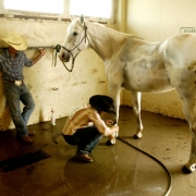 Luke Gardner (cq), senior from Highland School - Ault Colorado, talks to friend Becky White (cq), senior at Moffat High school- Moffat Colorado, left to right, Thursday afternoon June 23, 2005 at Jefferson County Fairgrounds in Golden while White clean...