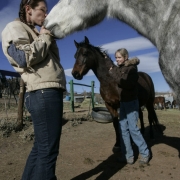 Michelle Nequette, left,  pets Otto, a Percheron/ Quarterhorse that was one of 6 horses out of 52 left behind at the Joder Ranch in Boulder Wednesday as a fire bore down on the ranch. 5 women, who work or board board horses at the Joder Ranch battled f...