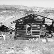 View of dilapidated cabins in Independence (Pitkin County), Colorado; features barren hills with new growth.
