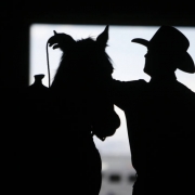 25 year-old Ken Lewis (cq) from La Junta, CO prepares his horse, Anna, an 11-year-old American Quarter horse beforethe start of the National Western Rodeo Finals in the Denver Coliseum on Sunday, January 27, 2008. Lewis participated on the Steer Wrestl...