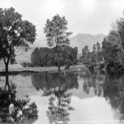 View of mountain and tree reflections in pool on Fountain Creek with railroad tracks, trestle, and cattle, El Paso County, Colorado.