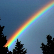(VIEWFINDER - RAINBOW  July 8, 2004)  While on a trip in eagle county, near Vail, a quick moving thunder storm over came me. I waited it out and I knew that when it started to clear, a rainbow would appear.  I put my 70 - 200 Nikon zoom on my Nikon D2H...