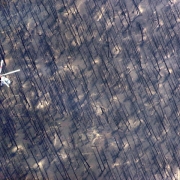 A helicopter flies over the burned remains of a forest near Cheesman Reservoir.